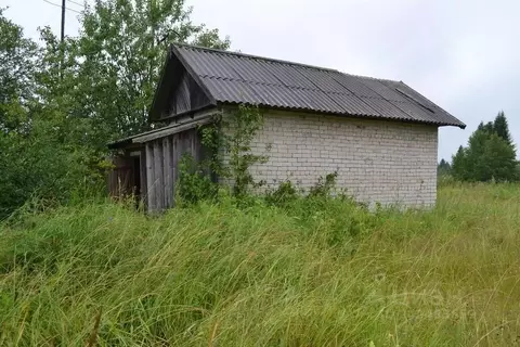 Помещение свободного назначения в Кировская область, Нагорский район, ...