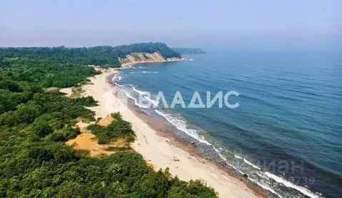 Участок в Калининградская область, Зеленоградский муниципальный округ, ...