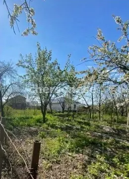 Участок в Крым, Симферопольский район, Трудовское с/пос, Минерал СНТ ...