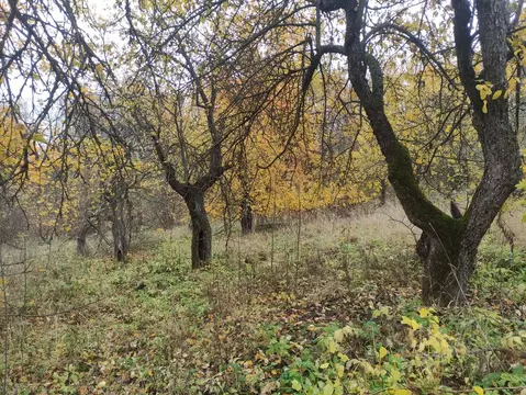Участок в Воронежская область, Рамонский район, Карачунское с/пос, д. ...