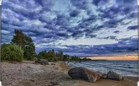Участок в Псковская область, Печорский муниципальный округ, д. Литовиж ...