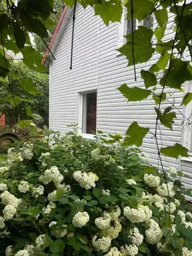 Дом в Калининградская область, Зеленоградский муниципальный округ, ...