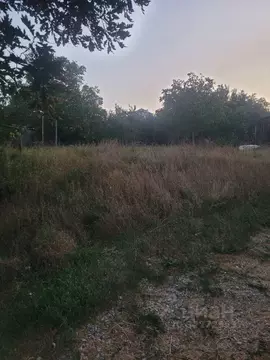 Участок в Краснодарский край, Новороссийск ул. Васильковская, 59 (8.0 ...