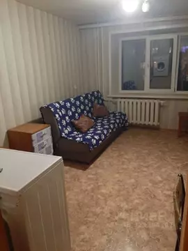 Студия Алтайский край, Барнаул ул. Малахова, 64 (17.0 м)