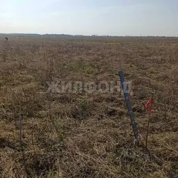 Участок в Новосибирская область, Колывань рп ул. Трактовая (10.0 сот.)