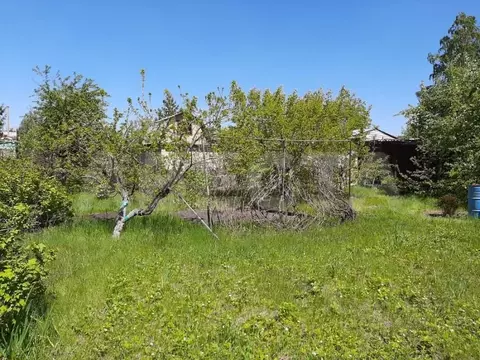 Дом в Омская область, Омск СОСН Черемушки тер., аллея 14-я (14 м)