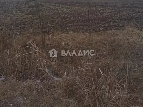 Участок в Приморский край, Михайловский муниципальный округ, с. ...