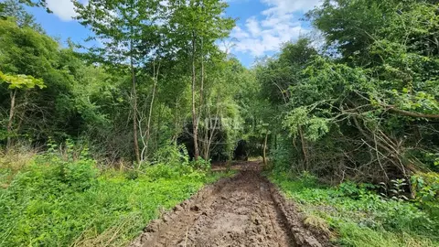 Участок в Калининградская область, Гурьевский муниципальный округ, ...