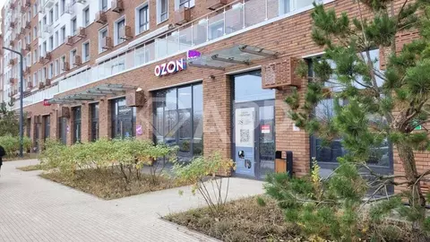 Помещение свободного назначения в Татарстан, Казань ул. Ярдем, 25 (162 ...