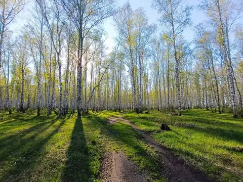 Участок в Челябинская область, Сосновский муниципальный округ, пос. ...