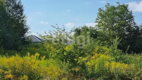 Участок в Брянская область, Брянский район, Снежское с/пос, с. ...