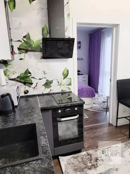 1-к кв. Санкт-Петербург Дальневосточный просп., 39к2 (34.0 м)