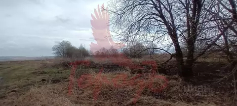 Участок в Орловская область, Урицкий район, Котовское с/пос, д. ...