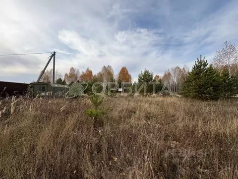 Участок в Тюменская область, Тюменский муниципальный округ, Архип ...