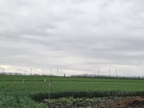 Участок в Ростовская область, Мясниковский район, с. Крым ул. Генерала ...