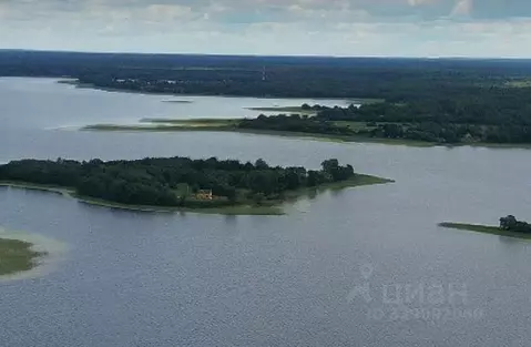 Участок в Тверская область, Осташковский муниципальный округ, д. ...