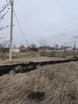 Участок в Пензенская область, с. Бессоновка ул. Тихая, 140 (8.0 сот.)