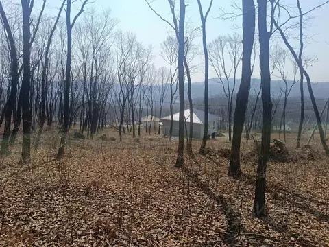 Участок в Приморский край, Находка Кедр кп, ул. Ольховая, 59 (10.0 ...