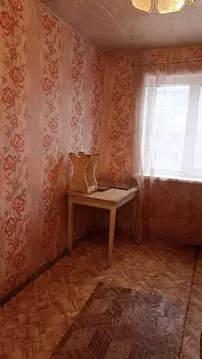 Студия Красноярский край, Красноярск Спортивная ул., 180 (13.4 м)