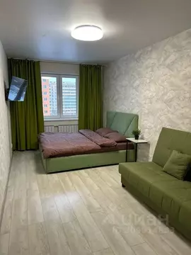 1-к кв. Свердловская область, Екатеринбург ул. Ракетная, 17 (70.0 м)