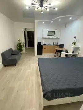 Студия Амурская область, Благовещенск ул. 50 лет Октября, 106/1 (28.0 ...