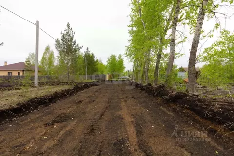 Участок в Тюменская область, Тюмень Звенящие Кедры Тюмени ДНП,  (7.2 ...