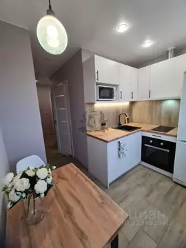 1-к кв. Санкт-Петербург просп. Художников, 27К2 (33.2 м)