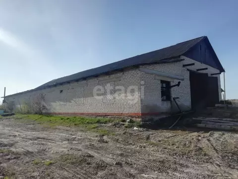 Склад в Калужская область, Мещовский муниципальный округ, Серпейск ...