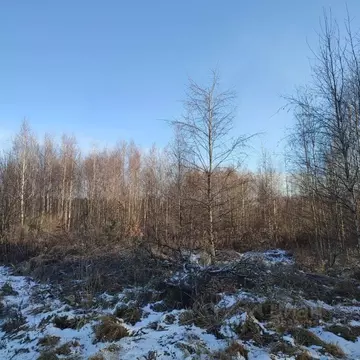 Участок в Московская область, Павлово-Посадский городской округ, д. ...