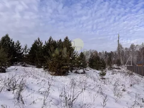 Участок в Иркутская область, Иркутский муниципальный округ, д. Карлук ...