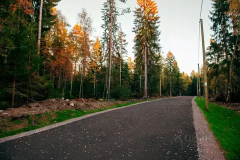 Участок в Ленинградская область, Выборгский район, Приморское ...