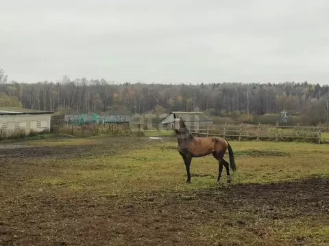 Дом в Владимирская область, Покров городской округ, д. Крюки ул. ...