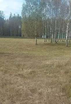 Участок в Московская область, Лосино-Петровский городской округ, д. ...