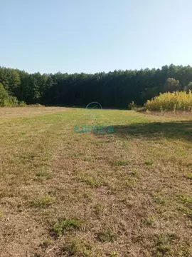 Участок в Белгородская область, Поселок Чернянка городское поселение, ...