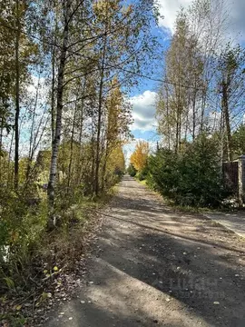 Участок в Санкт-Петербург, Санкт-Петербург, Павловск Павловское-2 СНТ, ...