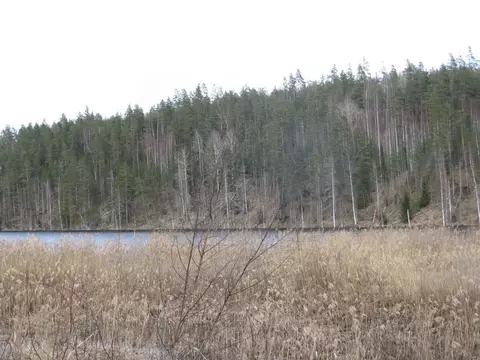 Участок в Карелия, Лахденпохский муниципальный округ, пос. Хухтерву  ...