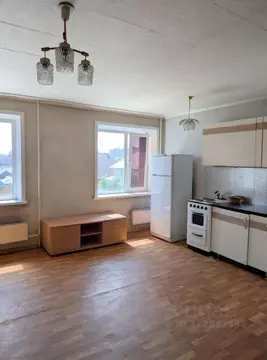 Студия Новосибирская область, Бердск Лунная ул., 32 (32.0 м)