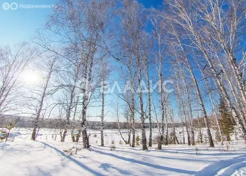 Участок в Иркутский муниципальный округ, заимка Поливаниха (10.1 м)