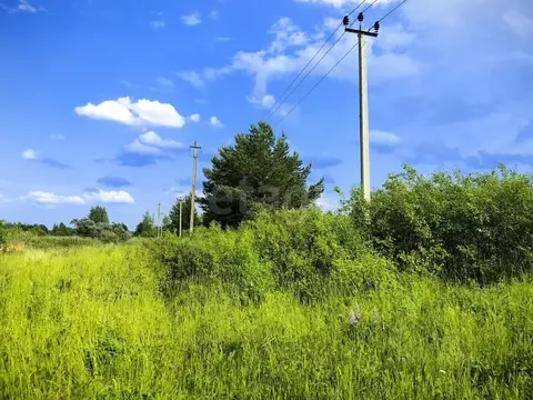 Участок в Костромская область, Кострома Веснянка садоводческое ...