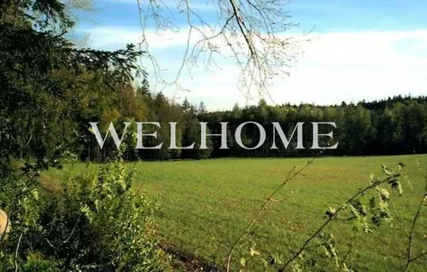 Продается участок в д. Борзые