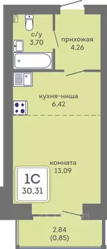 Студия Пермский край, Пермь Кировоградская ул., 28 (30.31 м)
