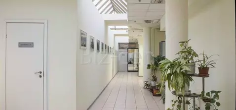 Офис в Санкт-Петербург пер. Апраксин, 8 (25 м)