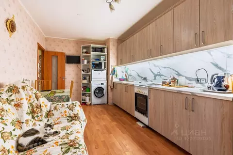 1-к кв. Санкт-Петербург, Санкт-Петербург, Красное Село ул. ...