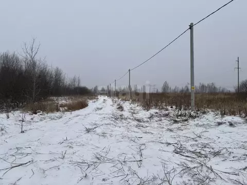 Участок в Тюменская область, Тюменский муниципальный округ, с. Борки  ...