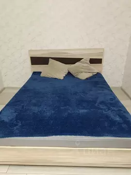 2-к кв. Челябинская область, Миасс ул. Богдана Хмельницкого, 36 (46.0 ...