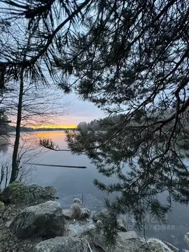 Участок в Ленинградская область, Приозерский район, Кузнечное пгт ...