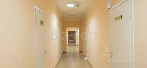 Офис в Санкт-Петербург Автовская ул., 17 (28 м)