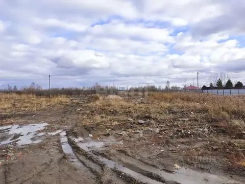 Участок в Тюменская область, Тюмень Поле Чудес садовое товарищество, ...