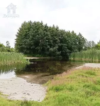 Участок в Воронежская область, Новоусманский район, Хреновское с/пос, ...