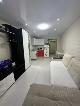 Студия Кировская область, Киров Заводская ул., 6к1 (23.0 м)